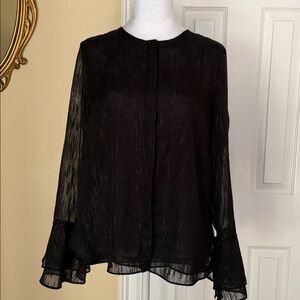 Semisheer button down blouse Sheer Bell Sleeves Witchy WhimsyGoth Evening Party